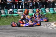 20110501_ales_agnus (3157)